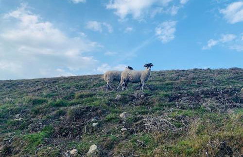 The Old Barn - Photo 25