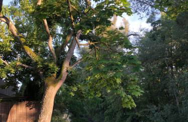 Riverside apartment in central Herzogenaurach - Foto 28