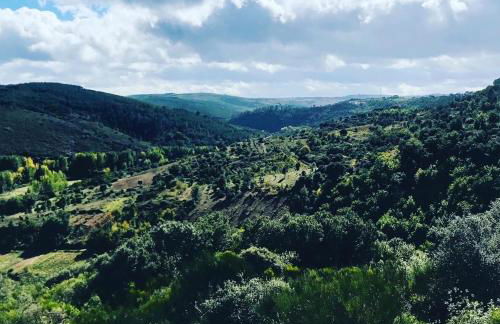 Sweet Quintanilha - Foto 39