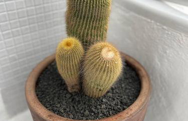 Casa MIALMA LANZAROTE - Foto 57