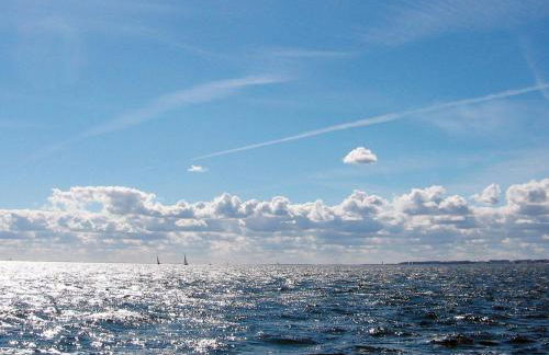 6 person holiday home in GROEMITZ - Photo 22