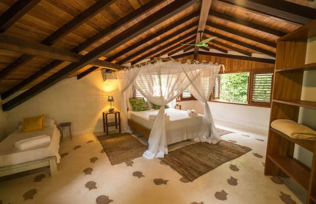 Casa do Arvoredo - casa com serviços - Photo 2