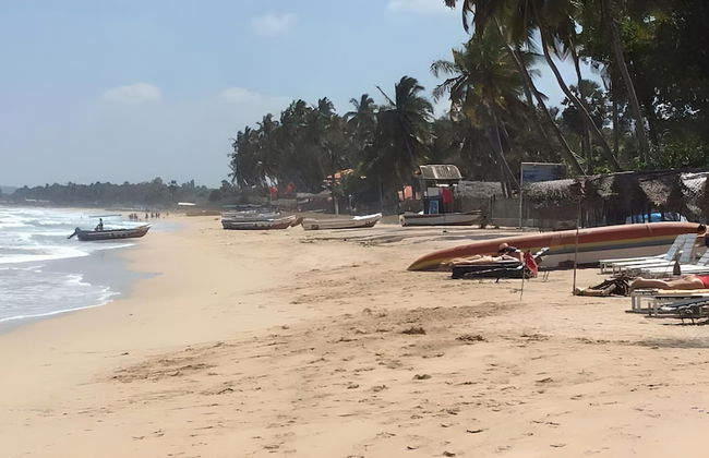 Dolphin Bay Cabana Resort - Photo 15