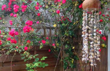 La Breizh'îlienne - Photo 19