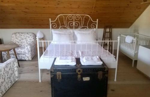 D HOUSE authentic Zlarin house, relaxing courtyard and terrace - Photo 10