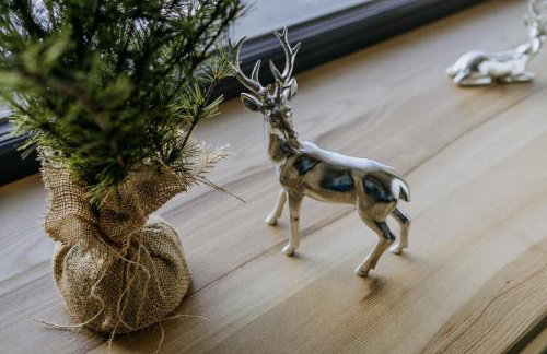 Luxury Chalet Kajmer - Foto 73