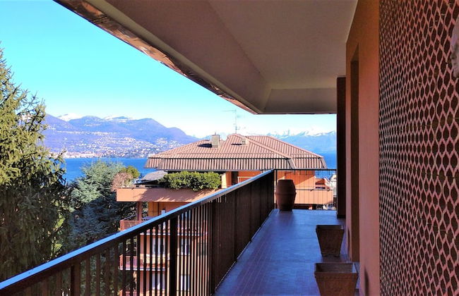 Pettirosso - Photo 17