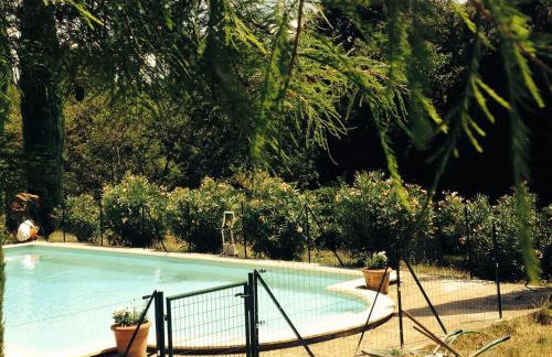 MAS DES VIGNES - View Cité de Carcassonne - Foto 8