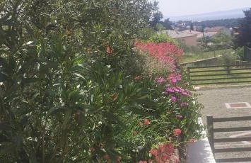 Apartman Franolic Punat - Foto 59