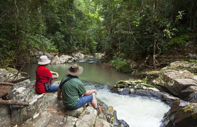 Rose Gums Wilderness Retreat - Foto 23