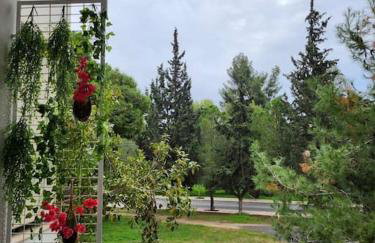 Vouliagmeni Thalassa Apartment - Photo 40