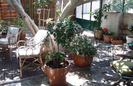 Cielito Lindo - Foto 9