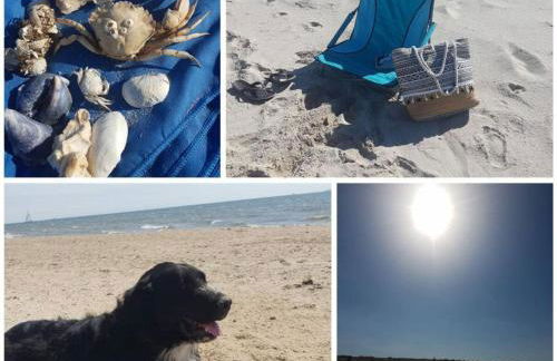 FeWo Nero Comfortable holiday residence - Foto 24