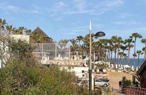 Estrelicia - Photo 50