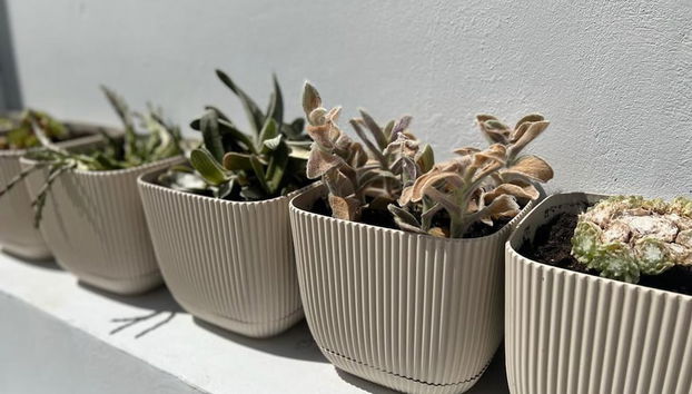 Impeccable Newly Renovated Studio in Larnaca - Foto 5, Comida y bebida