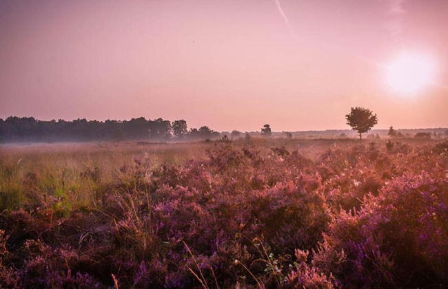 Lovely Holiday Home in Voorhuizen With Garden - Foto 36