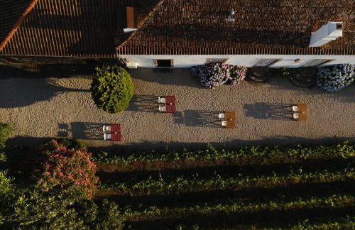 Morgadio da Calcada Douro Wine&Tourism - Photo 50