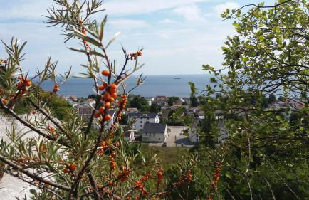 Ferienwohnung Wellenreiter - Foto 29