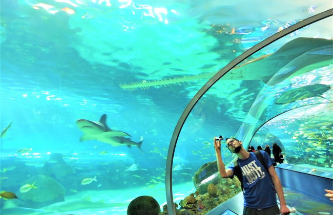 iResidence in Toronto- Vacation Home - Foto 45