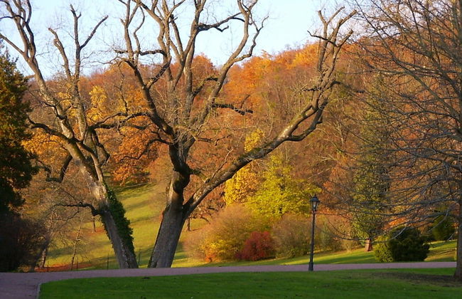 Holiday Home in the Thuringian Forest With Roof - Foto 22