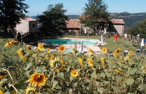 Bio Agriturismo La Cerqua - Foto 40