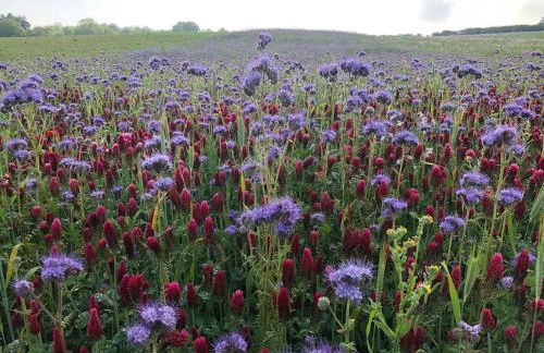 Plover House - Photo 8