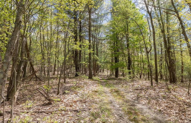 Tiny House 2 5 hrs NYC and Boston Waterfront Wifi - Foto 37