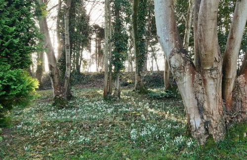 Chalet 176 Glan Gwna Park Caernarfon - Photo 40