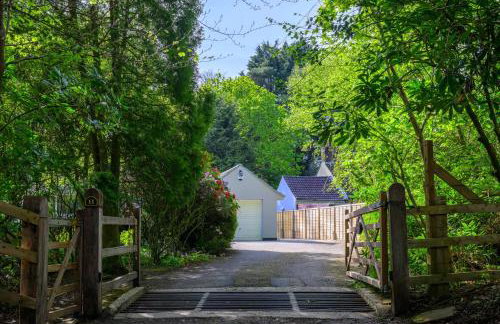 Oak Lodge - Photo 38