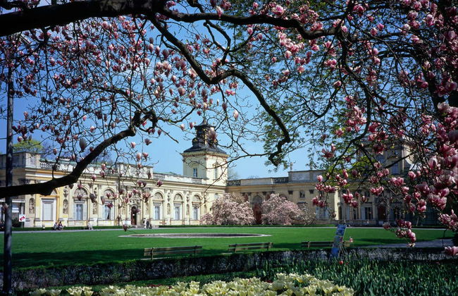 Wilanów Palace Guided Tour - Foto 5
