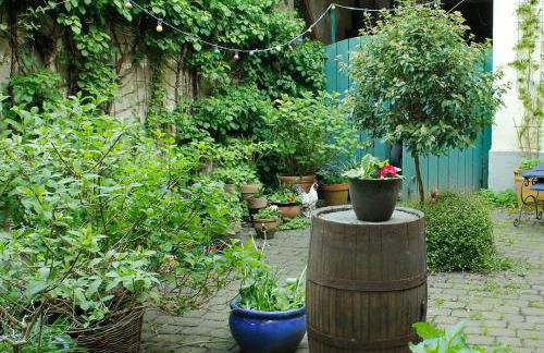 Stilvolles Appartment in zentraler Lage - Foto 6