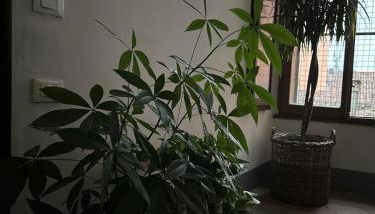 Room Manzoni 37 - Foto 4