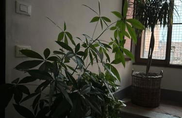 Room Manzoni 37 - Photo 4