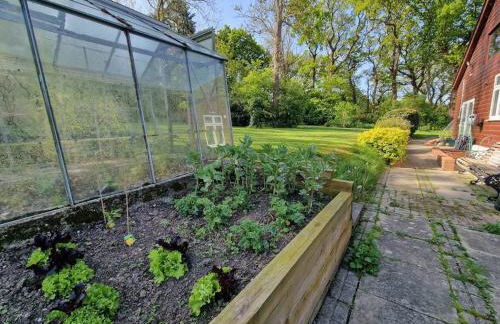 Country retreat near sea and South Downs, on National Cycle Network - Foto 22