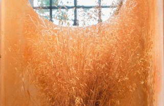 Due Esperienza Panoramica - Photo 30