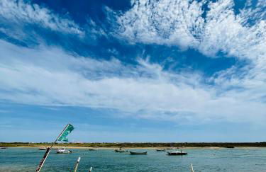 Amazing beach bliss 2br w/private sea view terrace - Photo 39