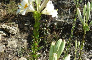 Nostro Rifugio - Foto 59