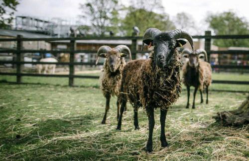 Urban Stay City Central Views Next to Station - Foto 11