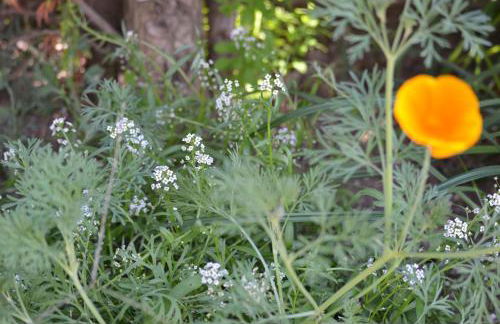 Ferienhaus - Kern - Foto 36