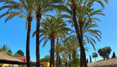 Cortijo La Saleta Banús - Foto 5, Garden, Garden view