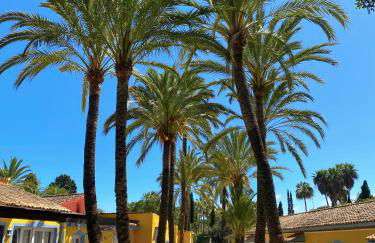 Cortijo La Saleta Banús - Foto 5