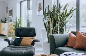 Deluxe-Naturhaus zum Entspannen in zentraler Lage - Foto 2