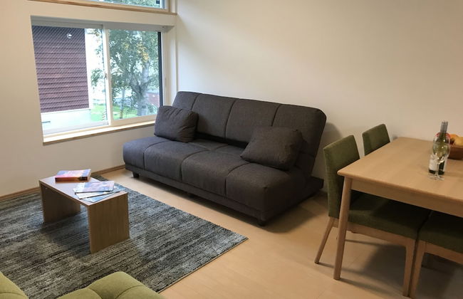 Lodge Mori Apartments - Photo 30