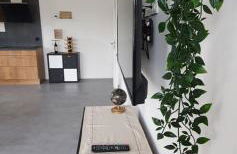 Ferienhaus Moselnest -Brauneberg - freistehend - klimatisiert - Foto 11