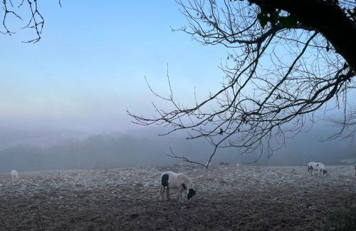 Cupcake Cottage: Quintessential Cotswold Cottage - Foto 24