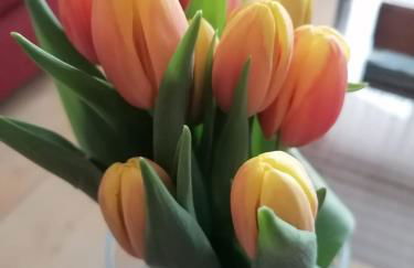 Apartament litoral norte Natal RN - Foto 36