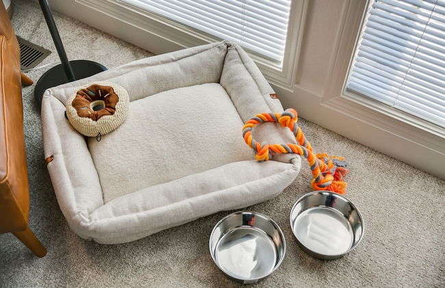 Elm Grove Elegance - Foto 54