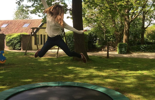 Charming Holiday Home in Baarlo With Terrace - Photo 29