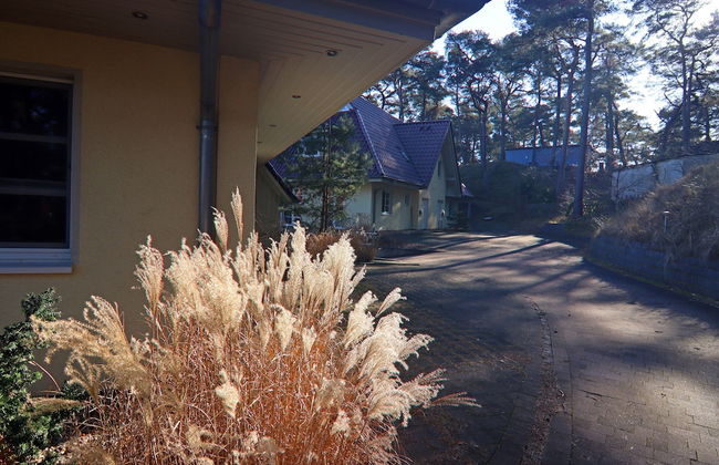 Reihenhaus Dunenwaldhaus in Trassenheide - Foto 47