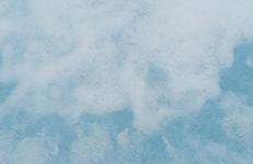 An entire two bed sea side bungalow with lazy spa - Foto 16